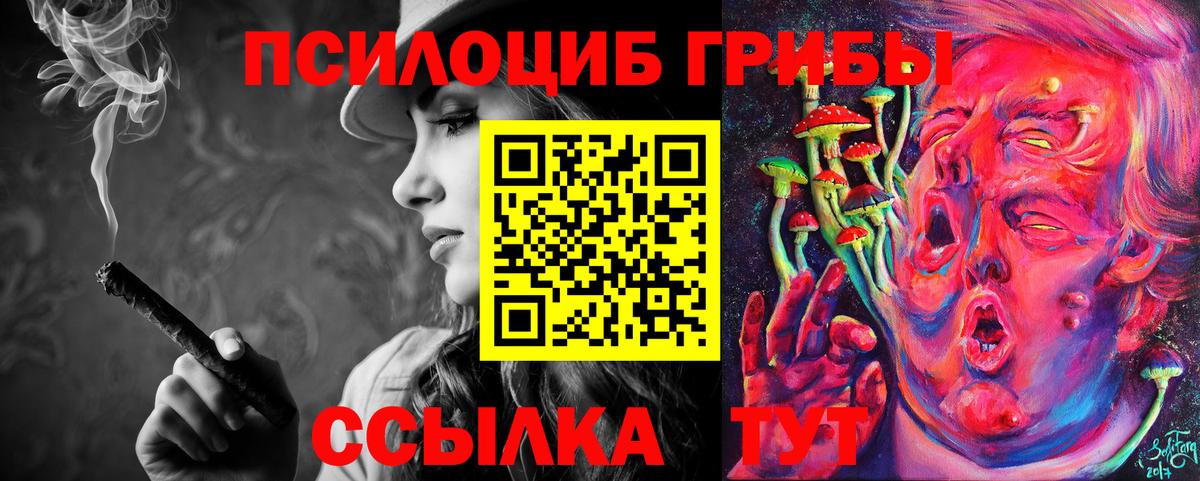 Псилоцибиновые грибы Psilocybe  Галлюциногенные грибы Cubensis  Верхний Уфалей  Вход с VPN 